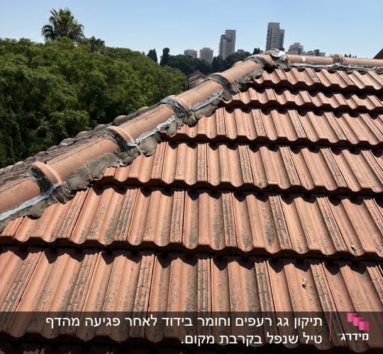 רעפים על גג עם נוף של בניינים ועצים ברקע